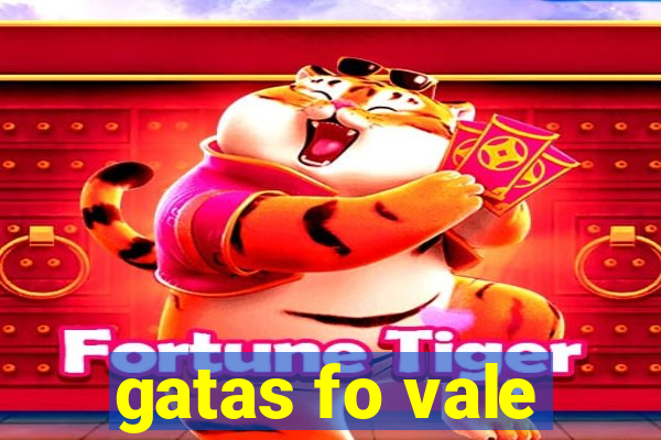 gatas fo vale